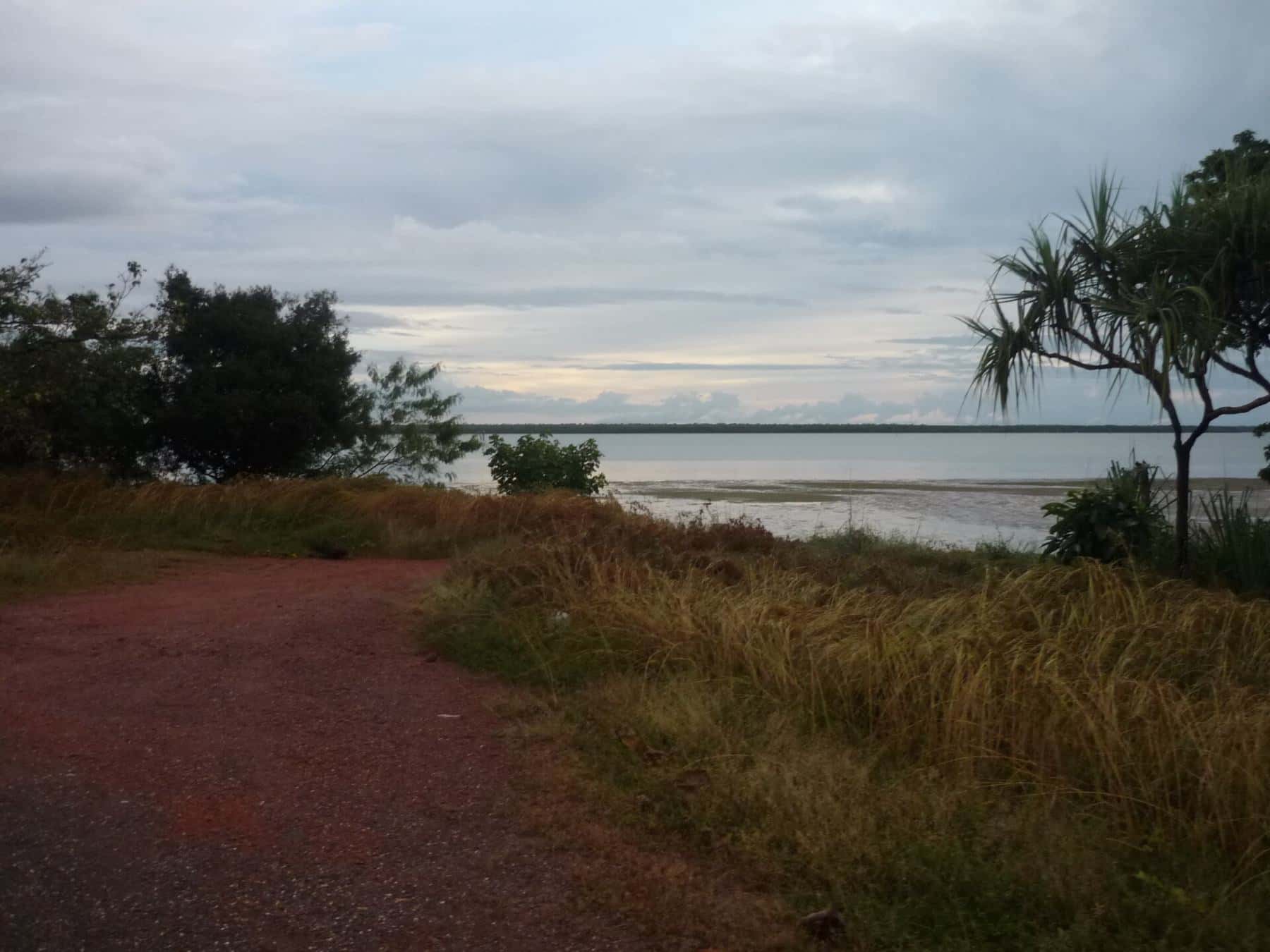 The broad tidal Embley River seen from a grassy bank with pandanus trees