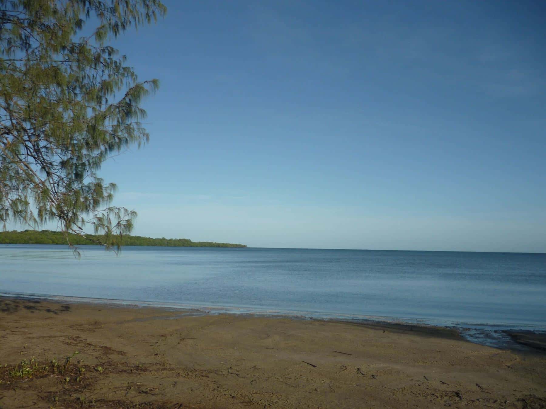A sandy beach and calm blue water near Weipa, with a mangrove-lined shore in the distance