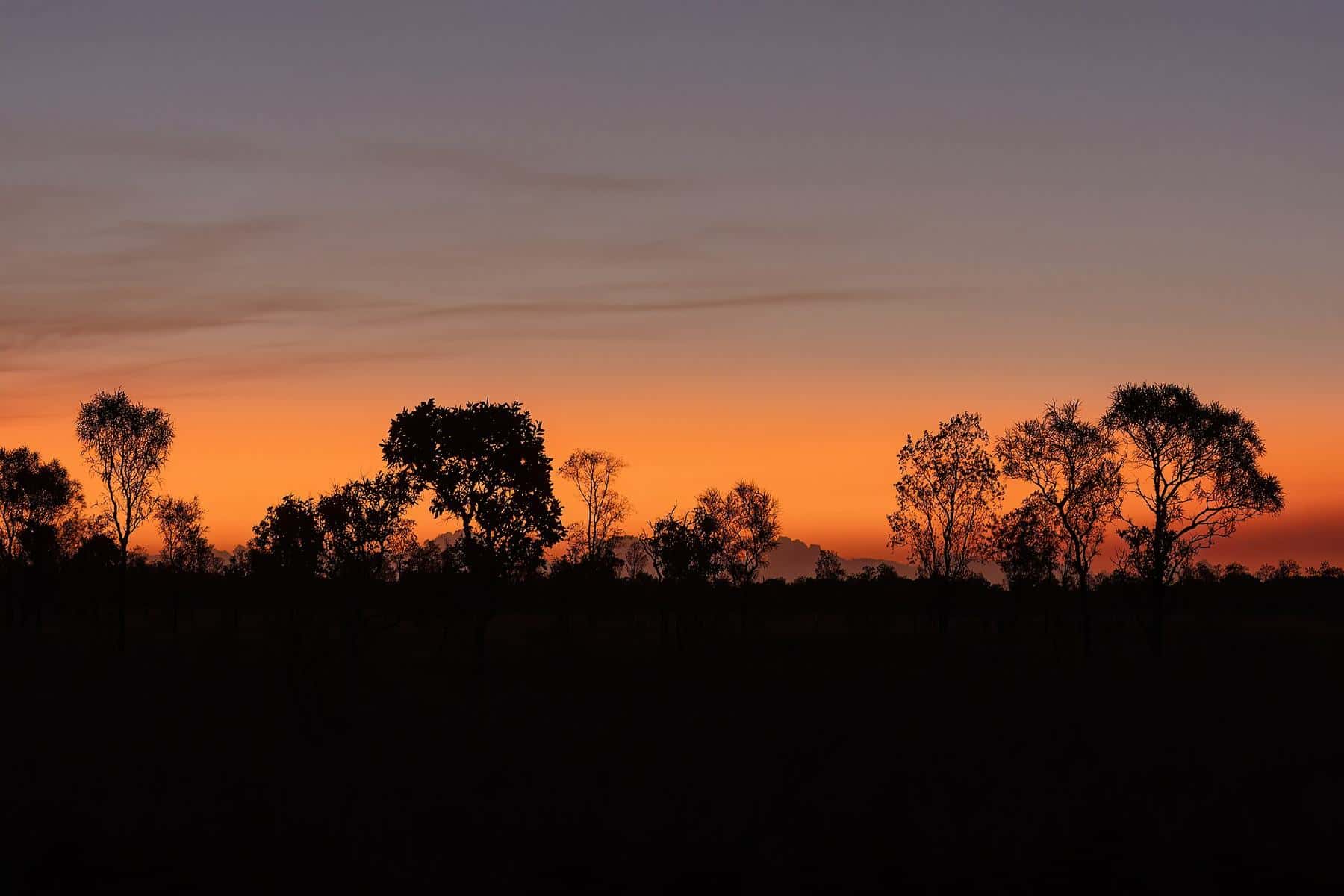 Wide, flat grassy plains dotted with termite mounds under a big sky in Lakefield National Park